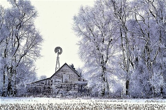 winter #272
