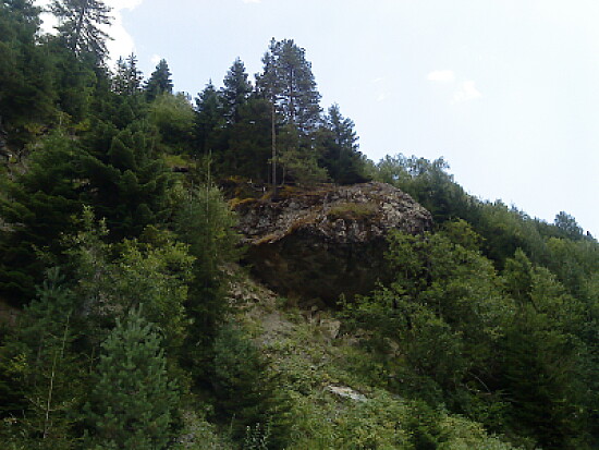svani