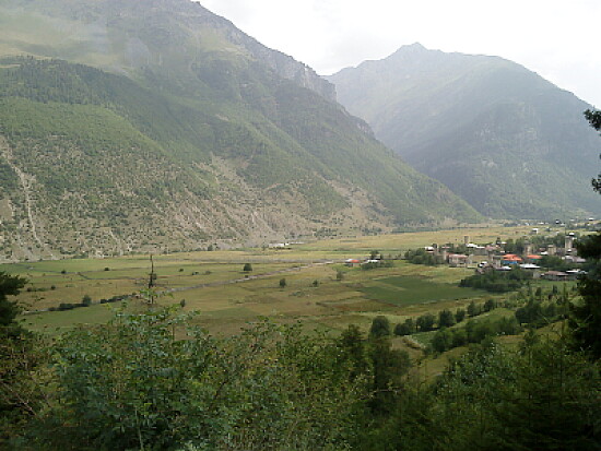 svani