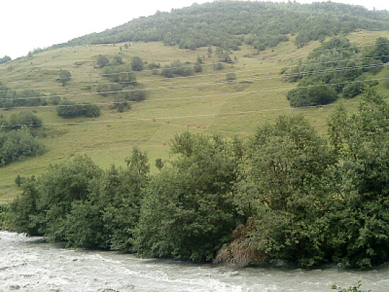 svani