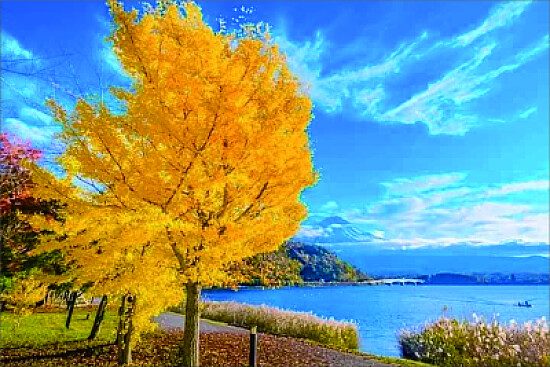 風景