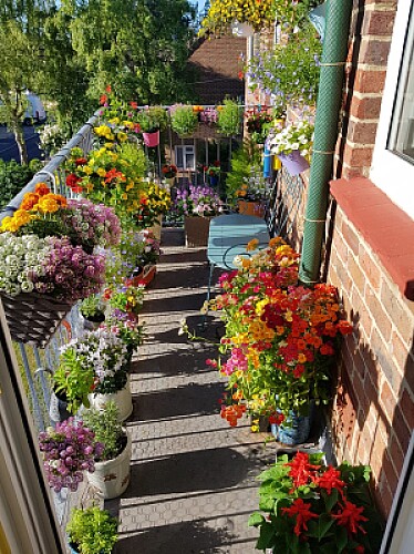 Balcon fleuri