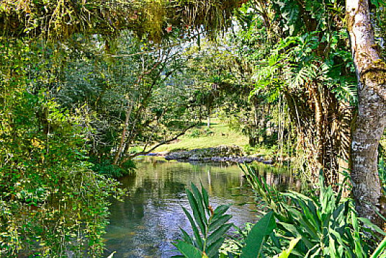 Nature