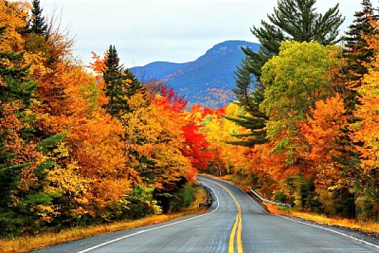 autumn #279