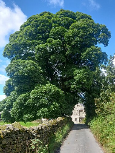 Entrada