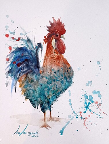 Coq aq.FB