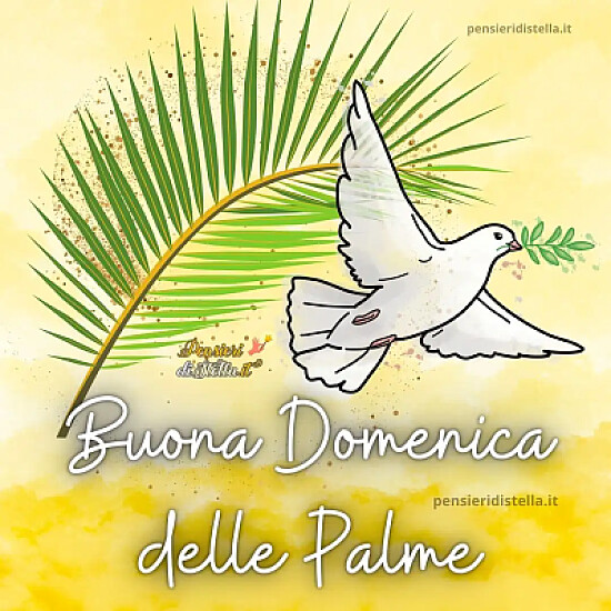 Domenica delle Palme