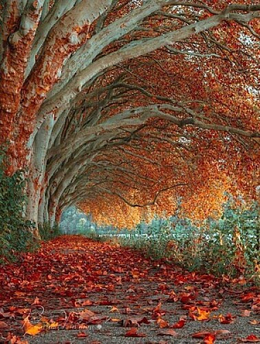 Otoño