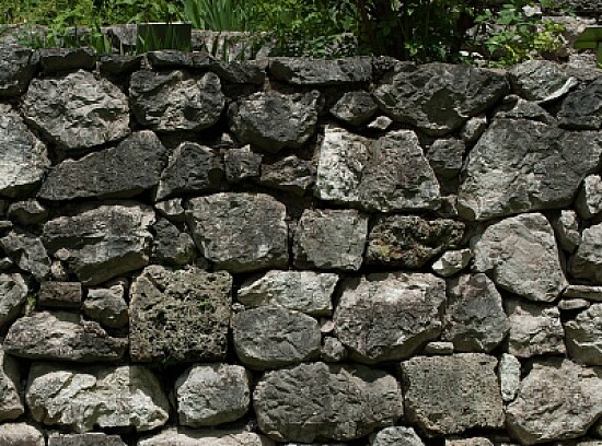 Muro