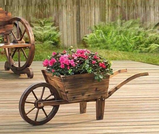 jardim