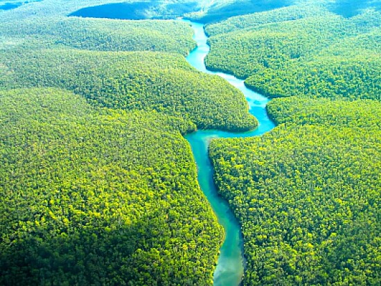 Quebra-cabeça Amazônia