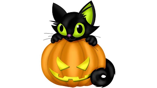 Gato 1