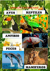 Fotos
