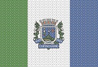 bandeira espinosa