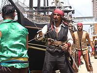 Papagaio de Pirata