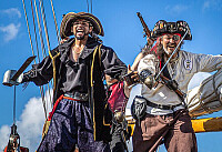 Papagaio de Pirata