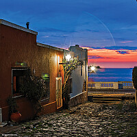 Colonia