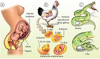 Biología