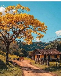 Diversos