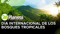 Día Internacional de la Preservación de