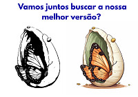 Coordenação
