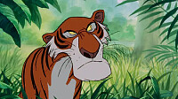 tigre