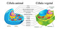 JORNADA DE CIENCIAS