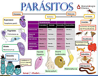 parasitologia