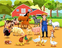 farm animals