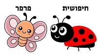 ענבל גולן