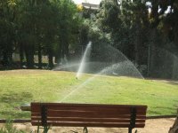 Garden in Ramat Hasharon, Israel