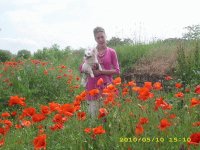Miljana