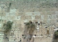 The Western Wall, Jerusalem - Israel