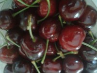 Cherries