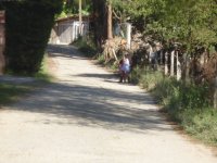 Camino