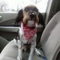 Rosco