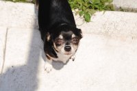 Zoey