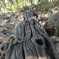 Best Nature Photos