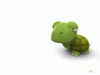 Tortu♥