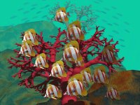 peces