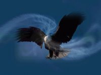 energías de águila real