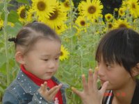 4歲