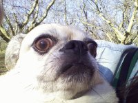 Sammie