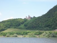 Castle on the Rhein