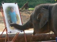 elefante