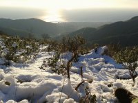 Monte Carmo