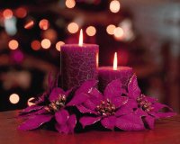 purpura