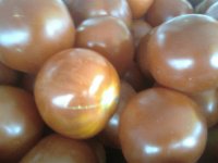 Tomatoes