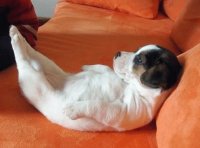 Sweet Dreams !!