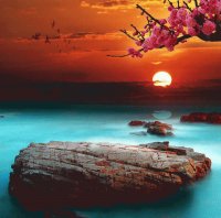 tramonto